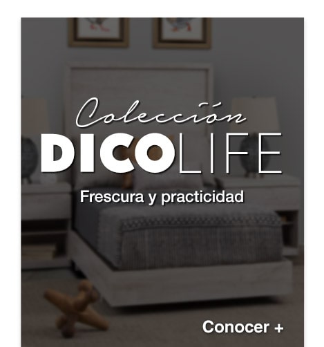 Landing-Colecciones2025-06